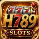 H789 Game