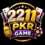 2211pkr Game
